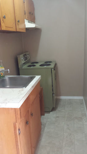Travellers Rest Motel Salmon Arm Buitenkant foto